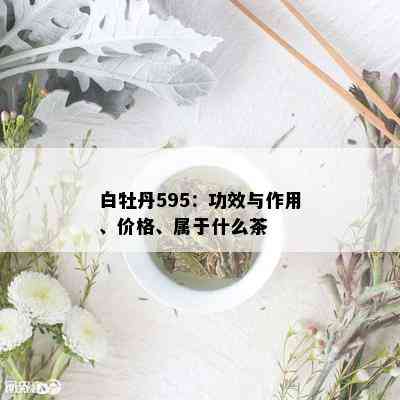 白牡丹595：功效与作用、价格、属于什么茶