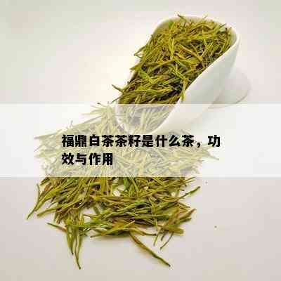 福鼎白茶茶籽是什么茶，功效与作用