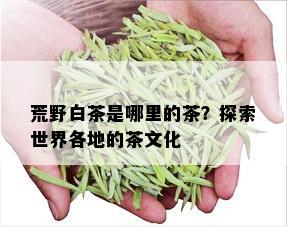 荒野白茶是哪里的茶？探索世界各地的茶文化