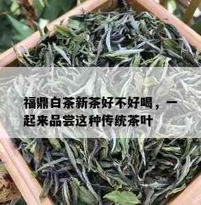 福鼎白茶新茶好不好喝，一起来品尝这种传统茶叶