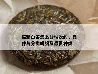 福鼎白茶怎么分档次的，品种与分类明细及最贵种类