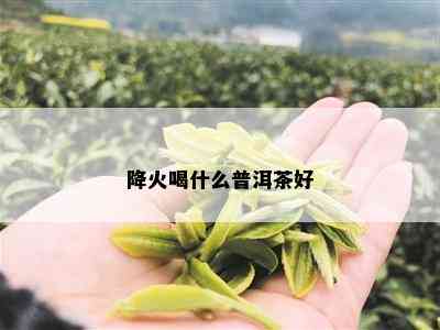 降火喝什么普洱茶好