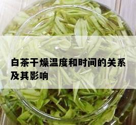 白茶干燥温度和时间的关系及其影响