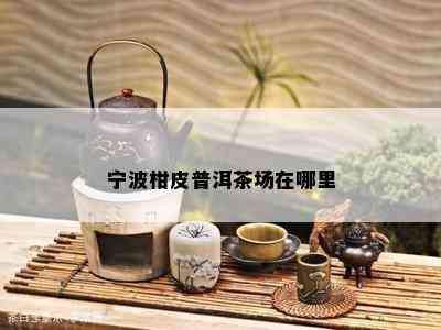 宁波柑皮普洱茶场在哪里