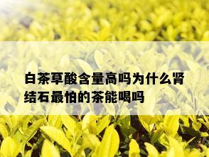 白茶草酸含量高吗为什么肾结石最怕的茶能喝吗