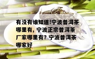 有没有谁知道!宁波普洱茶哪里有, 宁波正宗普洱茶厂家哪里有? 宁波普洱茶哪家好