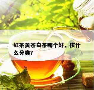 红茶黄茶白茶哪个好，按什么分类？