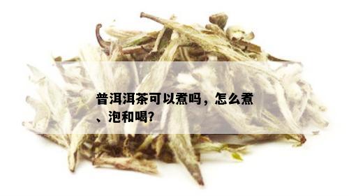 普洱洱茶可以煮吗，怎么煮、泡和喝？