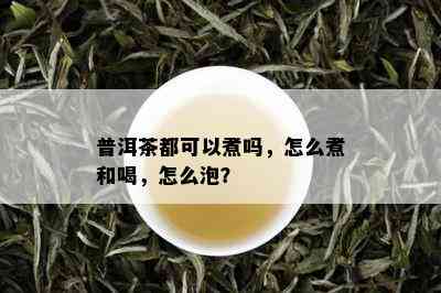 普洱茶都可以煮吗，怎么煮和喝，怎么泡？