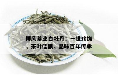 柳风茶业白牡丹：一世珍馐，茶叶佳酿，品味百年传承