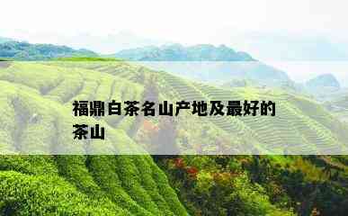 福鼎白茶名山产地及更好的茶山