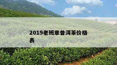 2019老班章普洱茶价格表