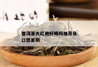 普洱茶大红袍好喝吗推荐及口感差别