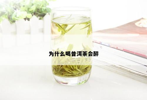 为什么喝普洱茶会醉