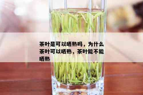 茶叶是可以晒熟吗，为什么茶叶可以晒熟，茶叶能不能晒熟