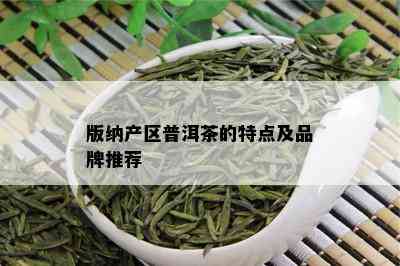 版纳产区普洱茶的特点及品牌推荐