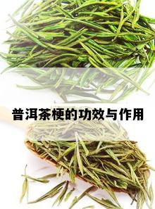 普洱茶梗的功效与作用