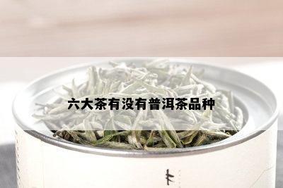 六大茶有没有普洱茶品种