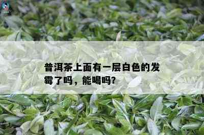 普洱茶上面有一层白色的发霉了吗，能喝吗？