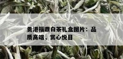 贵港福鼎白茶礼盒图片：品质高端，赏心悦目