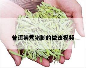 普洱茶煮猪脚的做法视频