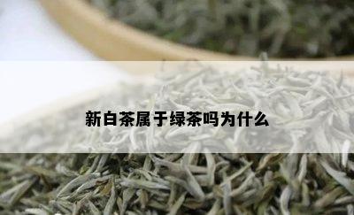 新白茶属于绿茶吗为什么