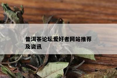 普洱茶论坛爱好者网站推荐及资讯