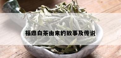 福鼎白茶由来的故事及传说