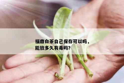 福鼎白茶自己保存可以吗，能放多久有吗？