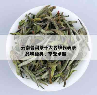 云南普洱茶十大名牌代表茶：品味经典，享受卓越