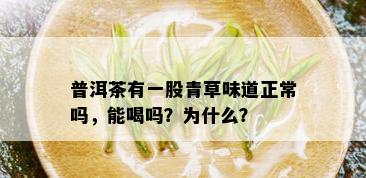 普洱茶有一股青草味道正常吗，能喝吗？为什么？