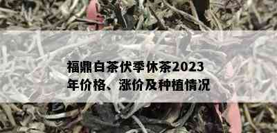 福鼎白茶伏季休茶2023年价格、涨价及种植情况