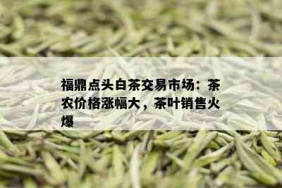 福鼎点头白茶交易市场：茶农价格涨幅大，茶叶销售火爆