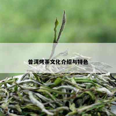 普洱烤茶文化介绍与特色