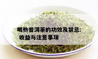 喝熟普洱茶的功效及禁忌: 收益与注意事项