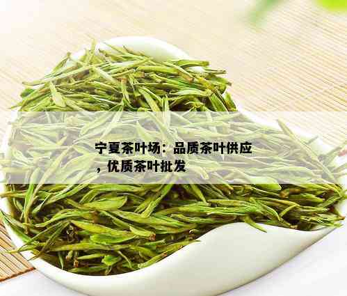 宁夏茶叶场：品质茶叶供应，优质茶叶批发