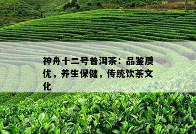 神舟十二号普洱茶：品鉴质优，养生保健，传统饮茶文化