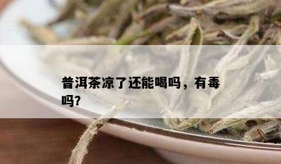 普洱茶凉了还能喝吗，有吗？