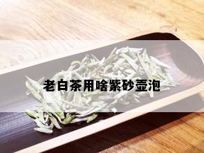 老白茶用啥紫砂壶泡