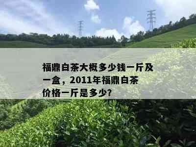 福鼎白茶大概多少钱一斤及一盒，2011年福鼎白茶价格一斤是多少？