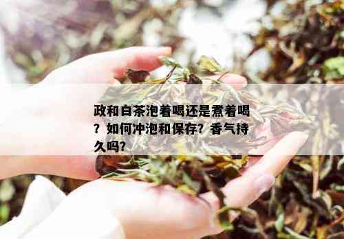 政和白茶泡着喝还是煮着喝？如何冲泡和保存？香气持久吗？