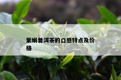 紫娟普洱茶的口感特点及价格