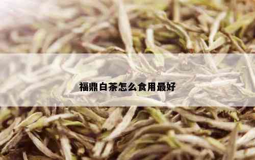 福鼎白茶怎么食用更好