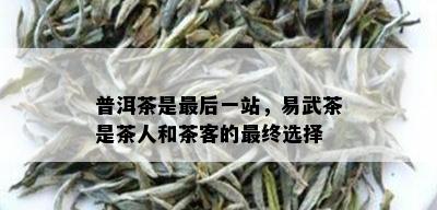 普洱茶是最后一站，易武茶是茶人和茶客的最终选择