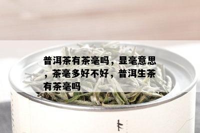 普洱茶有茶毫吗，显毫意思，茶毫多好不好，普洱生茶有茶毫吗