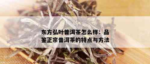 东方弘叶普洱茶怎么样：品鉴正宗普洱茶的特点与方法