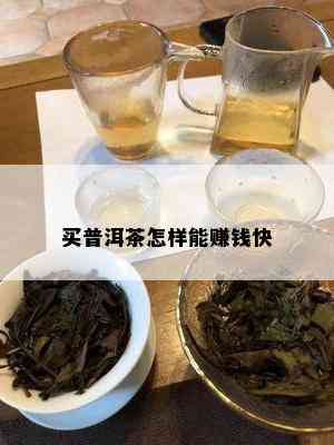 买普洱茶怎样能赚钱快