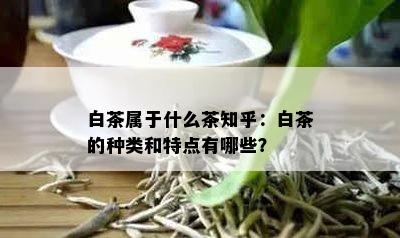 白茶属于什么茶知乎：白茶的种类和特点有哪些？