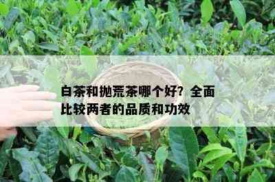 白茶和抛荒茶哪个好？全面比较两者的品质和功效