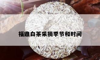 福鼎白茶采摘季节和时间